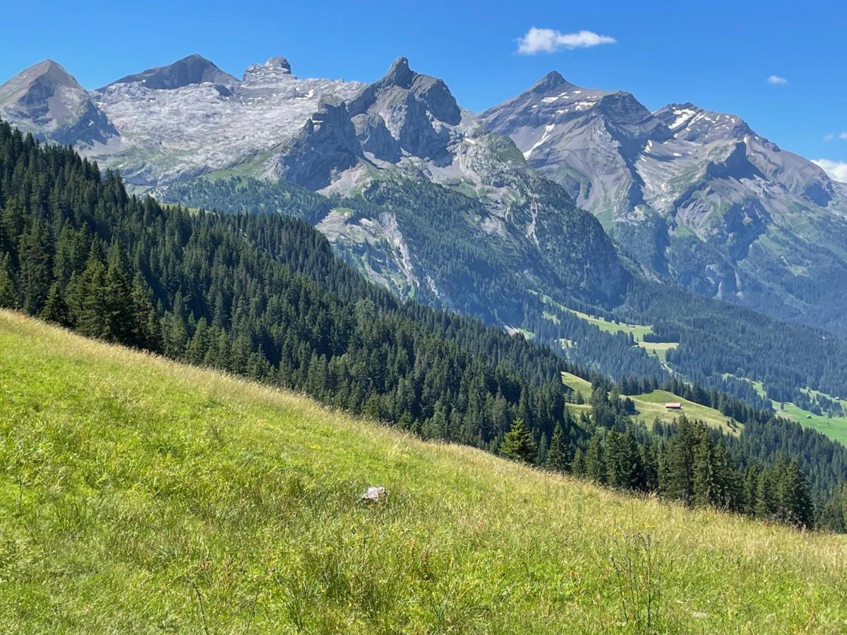 Alpen Charme - Chalet D'Hotes Et Spa Gsteig 外观 照片